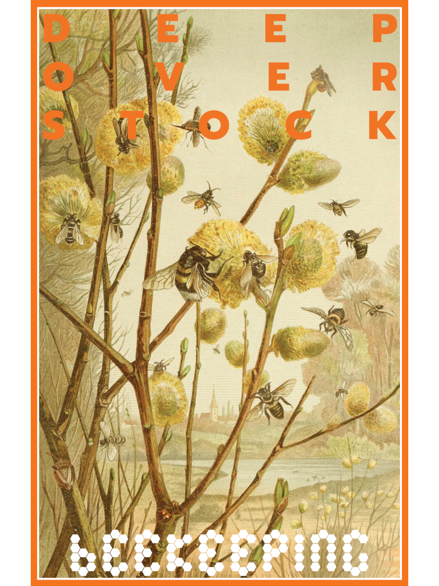 beekeeping front cover
